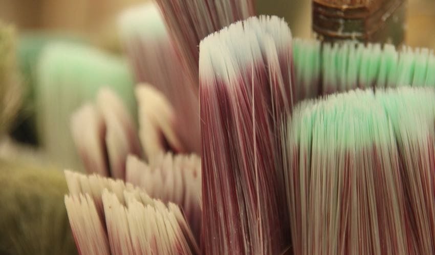 paint brush bristles