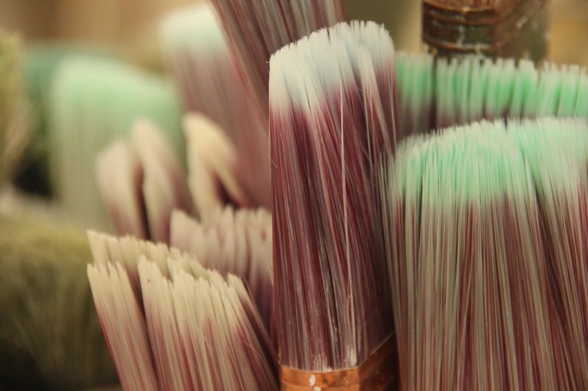 paint brush bristles