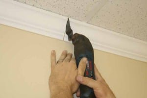 Bosch PS50-2A Multi-X crown