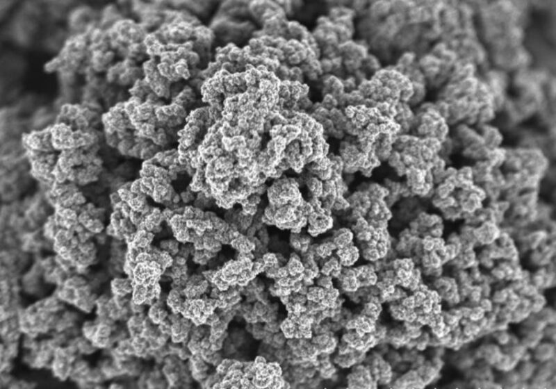 Samsung graphene ball electron microscope