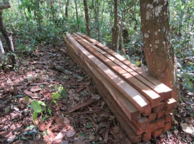 Makita Helps Learning Planet tools