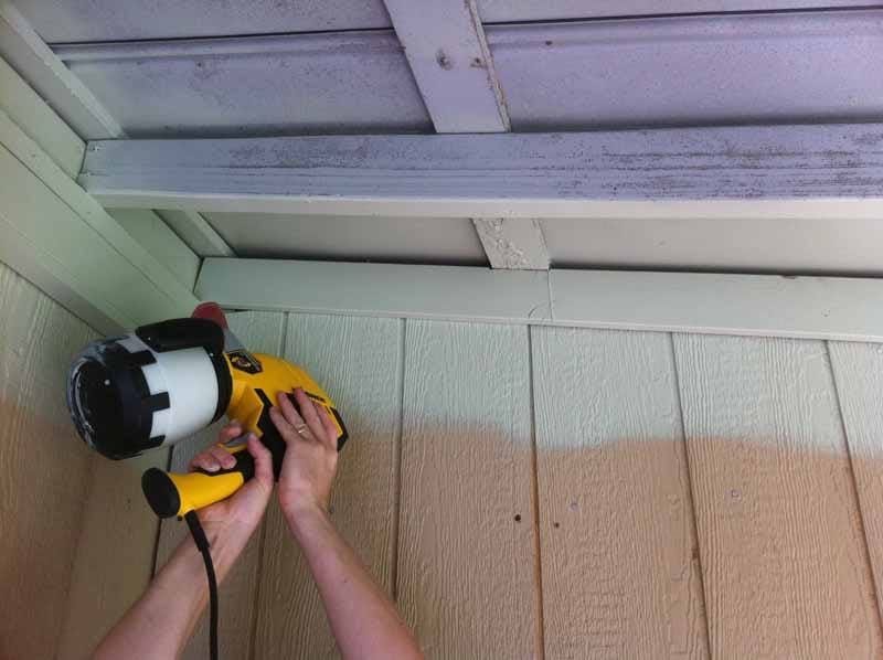 Wagner Power Painter Pro paint