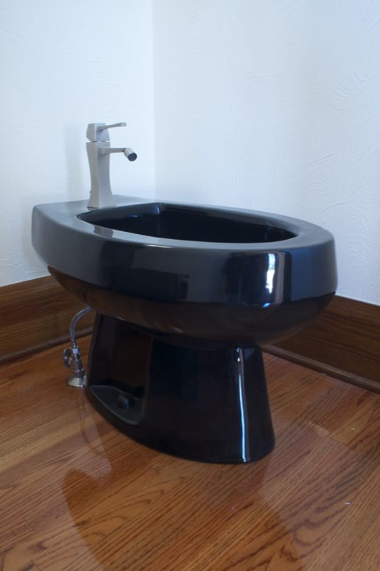 This American Kohler toilet sufficed in place of the Italian plumbing fixture.