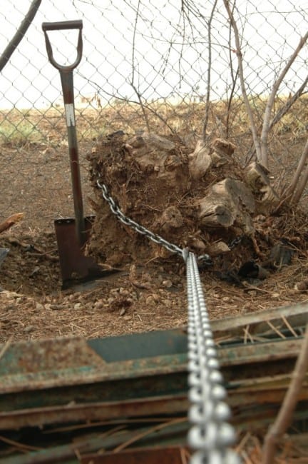 Warn PullzAll removing stump