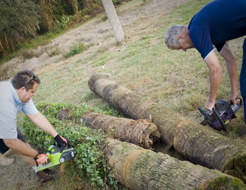 Cordless vs corded chainsaw duel