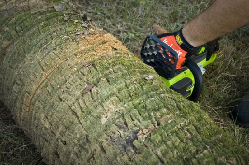 GreenWorks G-MAX cutting palms