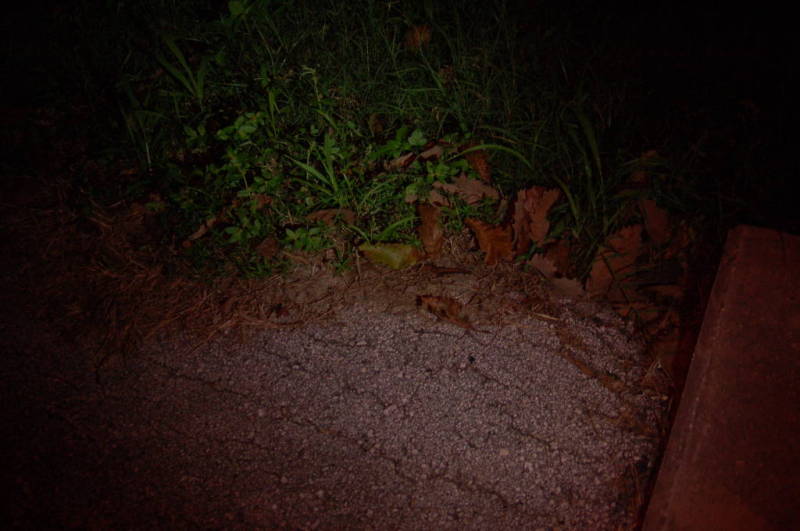 LED Lenser P7.2 beam