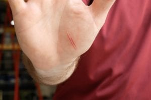 Bosch Reaxx safety test 1