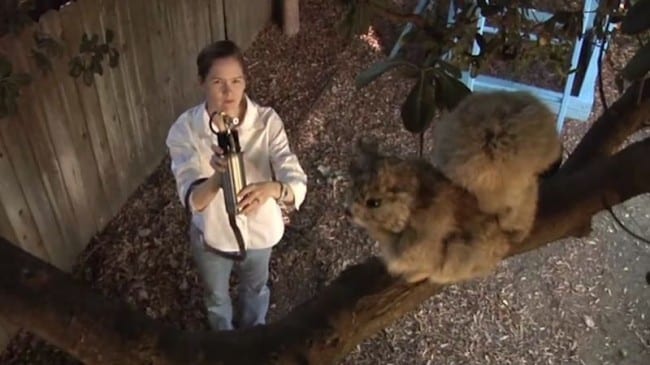 Reemco Vulcan pest control