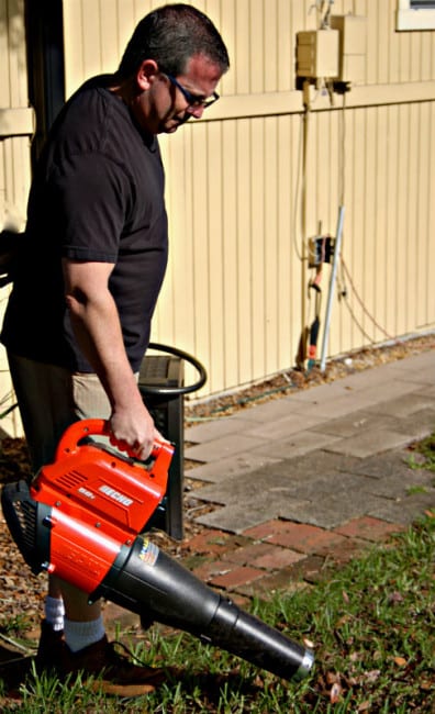 Echo 58V Blower Cleanup