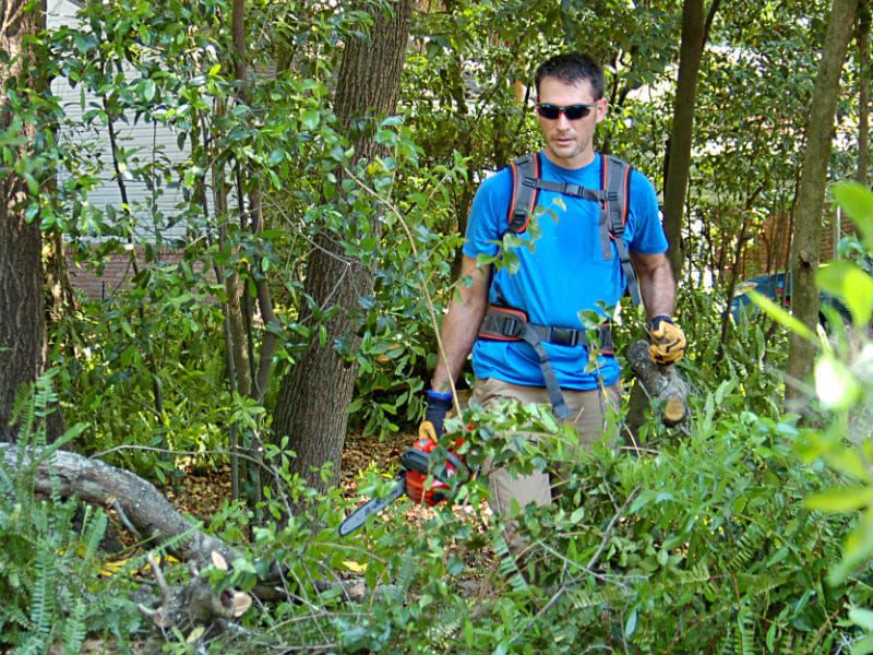 Husqvarna 36V Chainsaw Conclusion