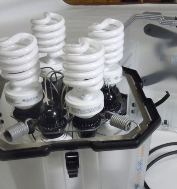 In360Light interior CFL bulbs