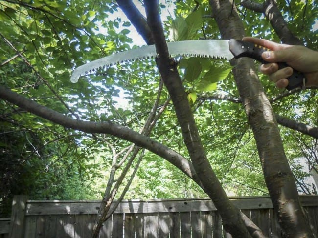 Silky Sugoi 360 pruning saw