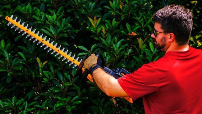 DeWalt 40V Max Hedge Trimmer Action
