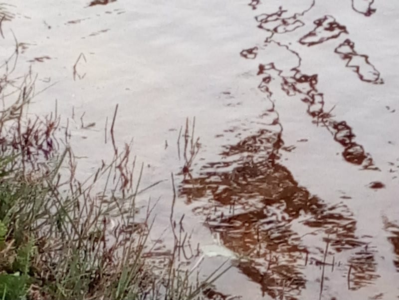 Water - Standard Smoke Lens