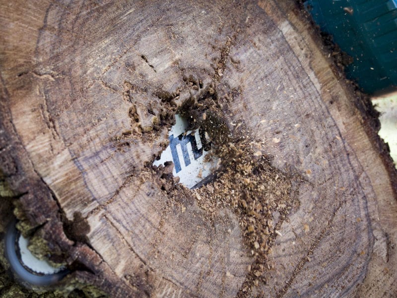 Makita XCU03 18V X2 LXT Chainsaw