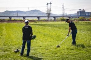 Clint Kenny Trimming