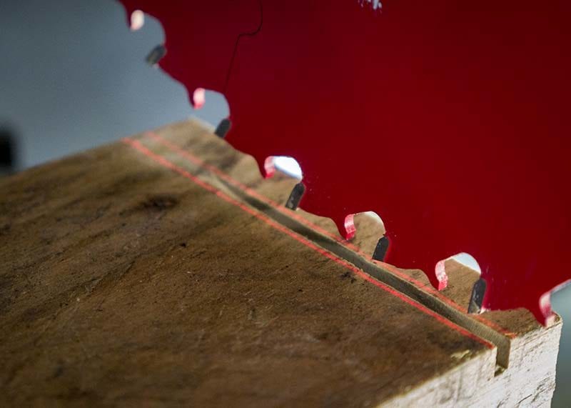 Ridgid MS255SR Miter Saw Dual Lasers Web