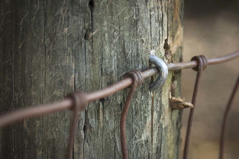 Stockade ST400i Fencing Stapler - Seated Staple Lo-Res