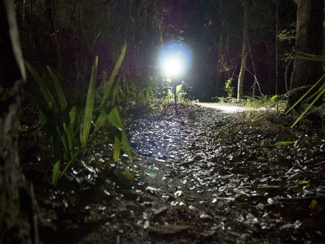 LEDLenser XEO19R Headlamp