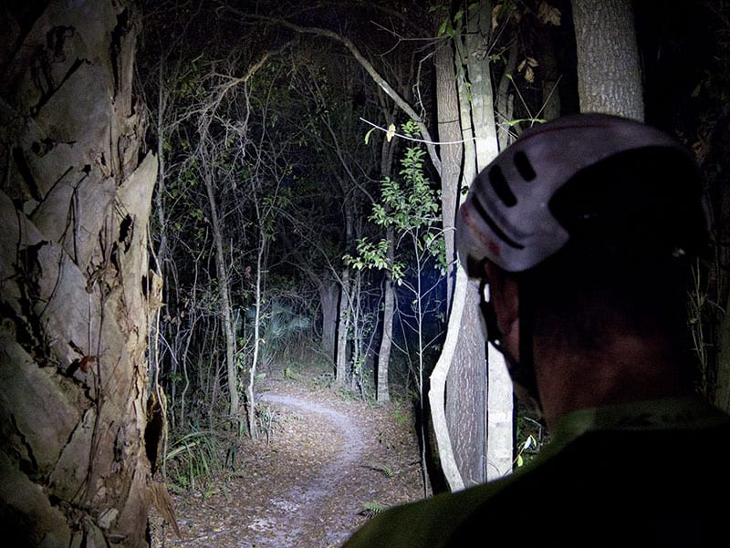 LEDLenser XEO19R Headlamp