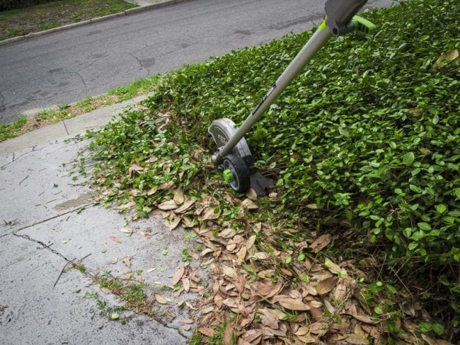 EGO Powerhead edging