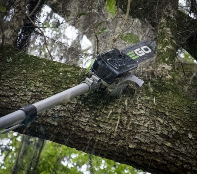 EGO pole saw cutting