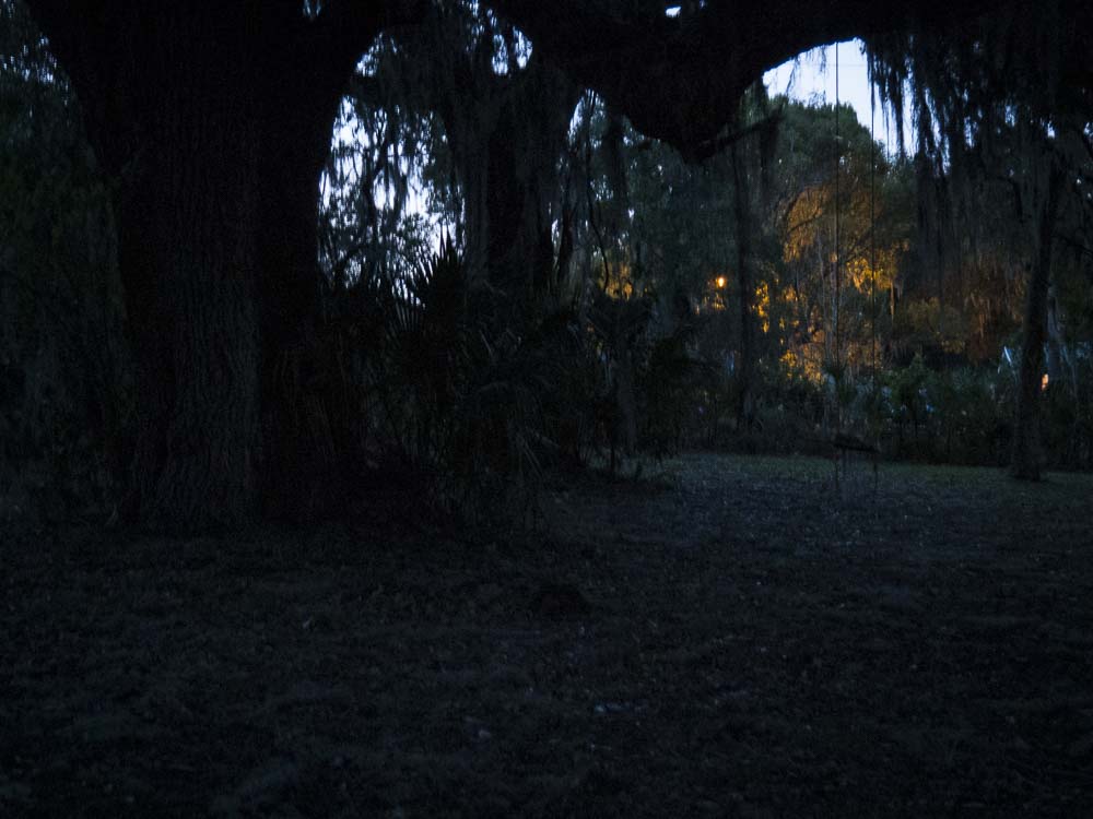 Under Oak Tree - No Lights