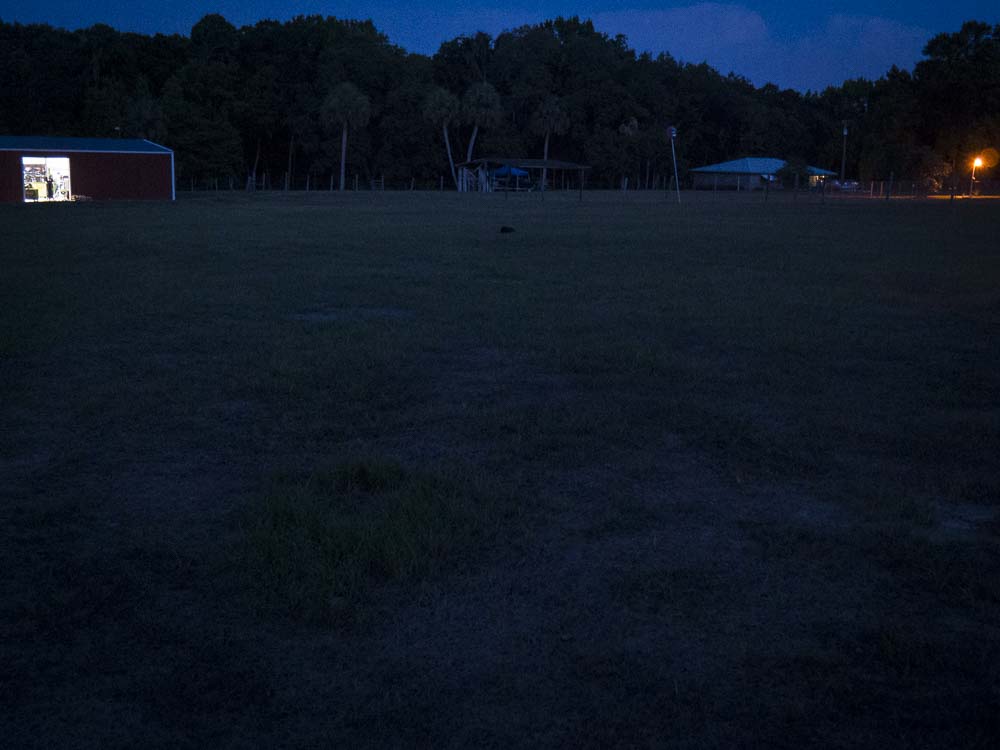Grass Field - No Lights