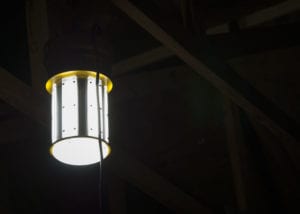 ProBuilt ProLight 360 Industrial Light