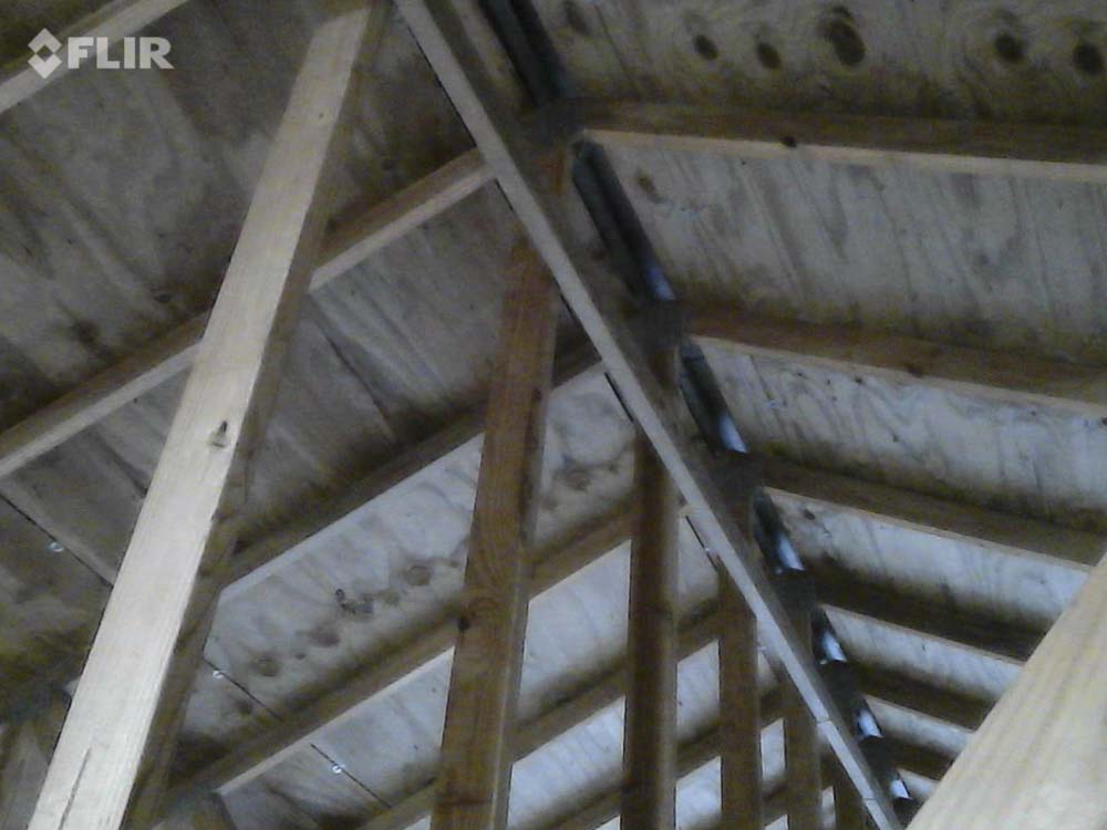 FLIR MSX Visual Image