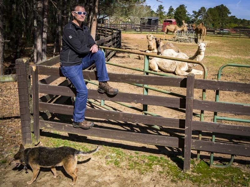 Keen Utility Dover Boots