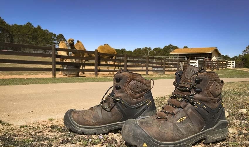 Keen Utility Dover Boots