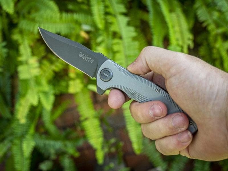 Kershaw Seguin