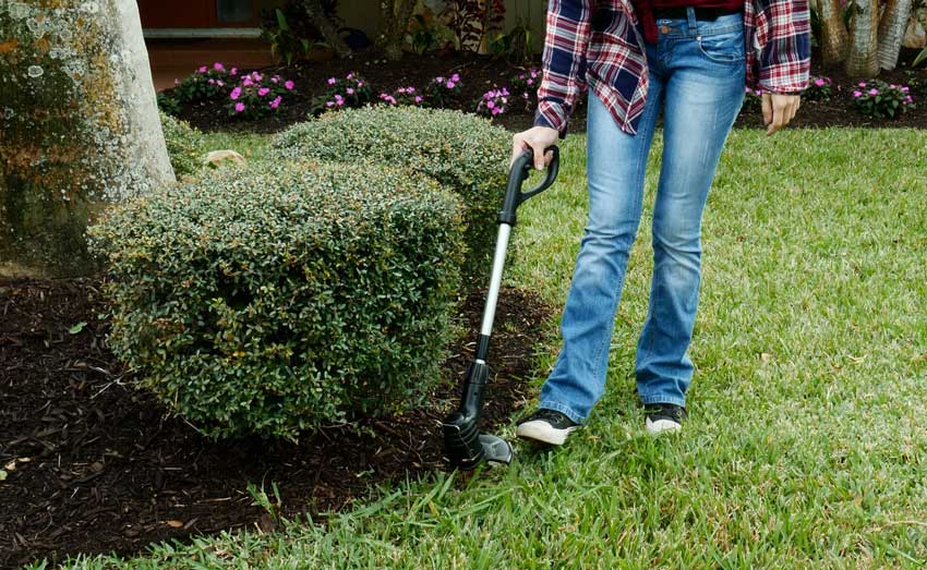 Bell and Howell Bionic Trimmer: What We Know