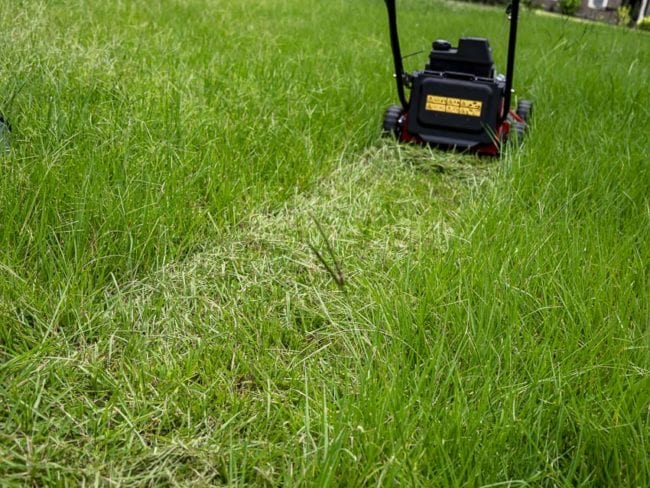 eXmark Commercial 21 X-Series Lawn Mower Review