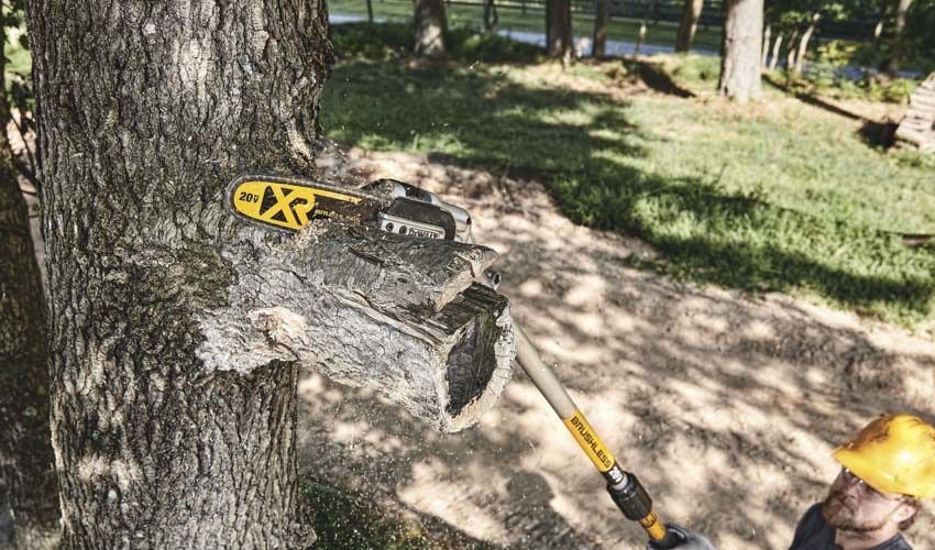 DeWalt 20V Max XR Cordless Pole Saw DCPS620M1