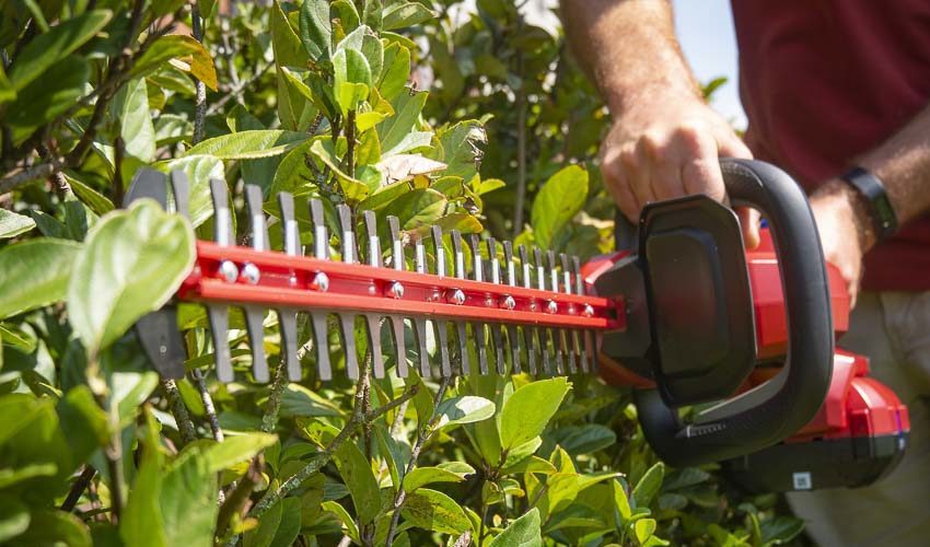 Toro Battery Hedge Trimmer