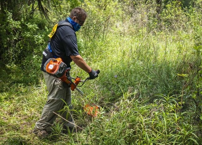 trio balance harness