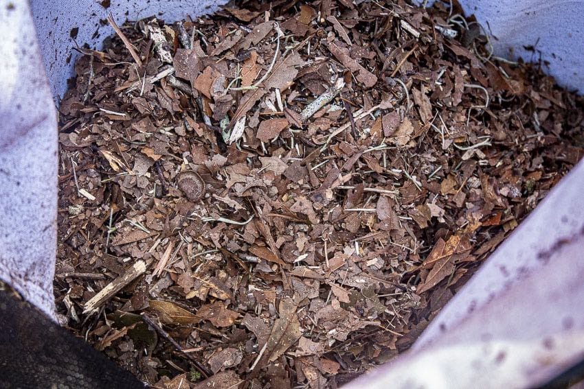 Makita XBU04 18V X2 Cordless Blower Mulcher Mulched Oak Leaves