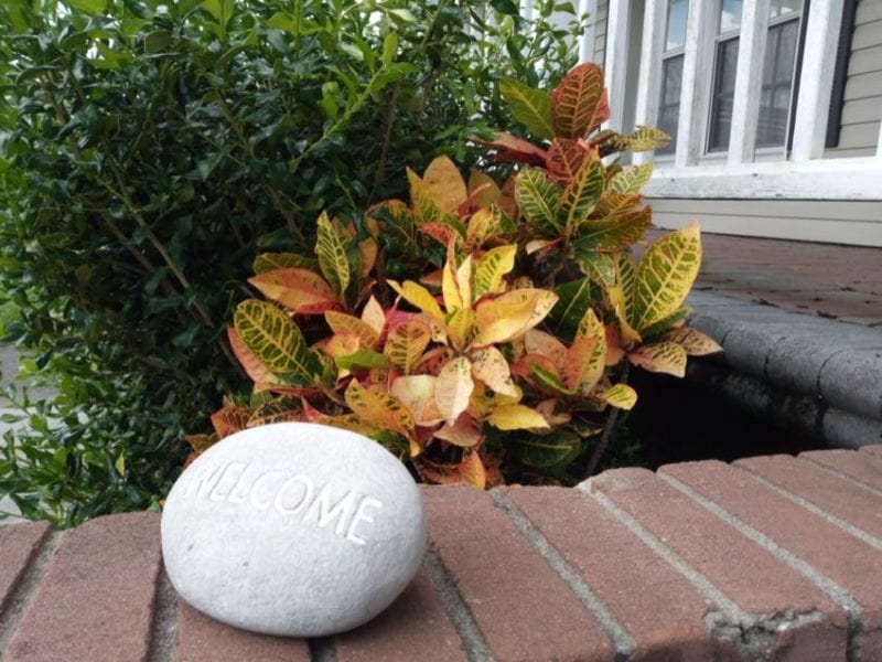 CAT S42 phone exterior photo