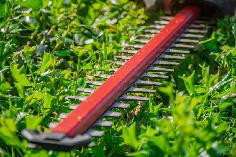 Skil 20V Hedge Trimmers Blade