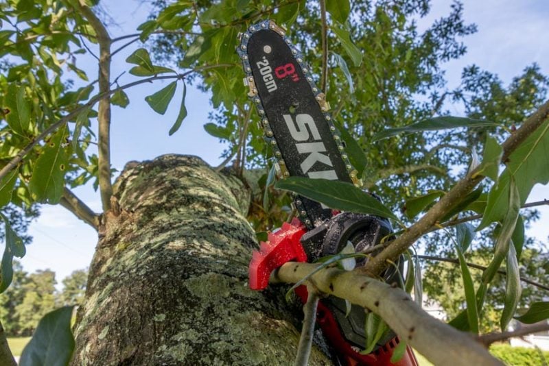 Skil 20V Cordless Pole Saw | PWRCore 20