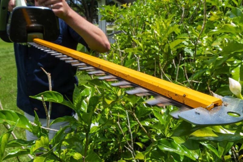 Green Machine Battery-Powered Hedge Trimmer Review