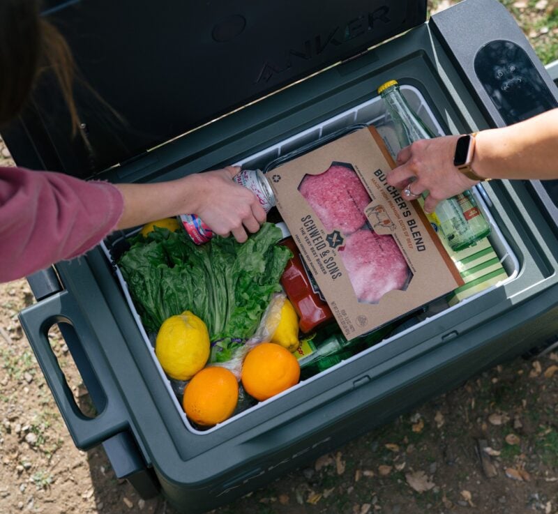 Anker EverFrost Food