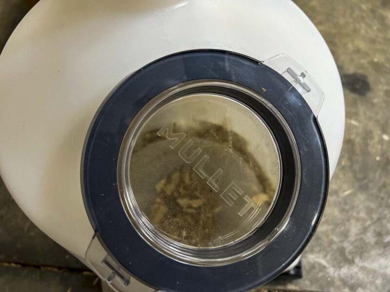 Mullet Dust Collector