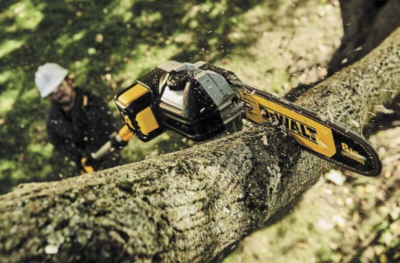 Best DeWalt DCPS620 pole saw
