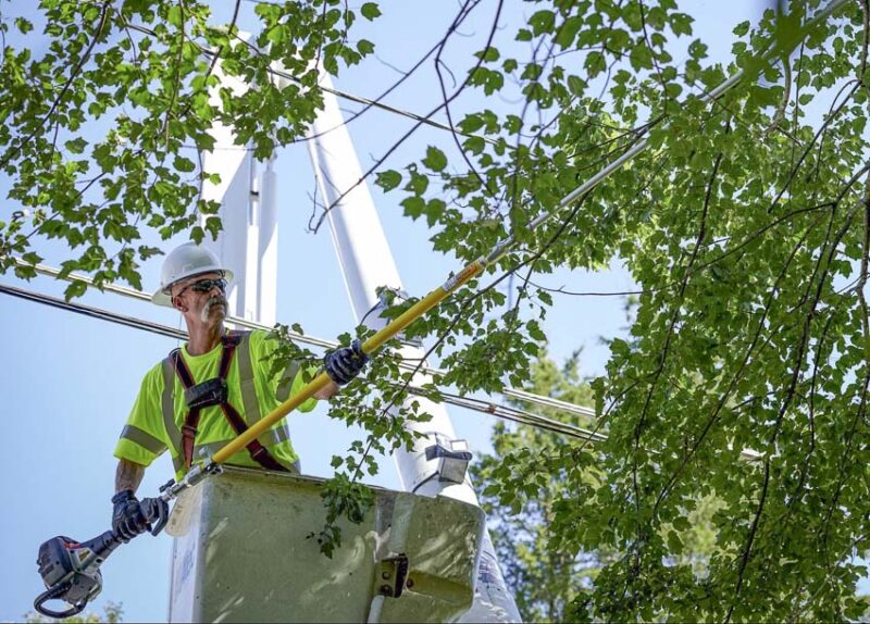 Husqvarna 525DEPS MADSAW Dielectric Gas pole saw