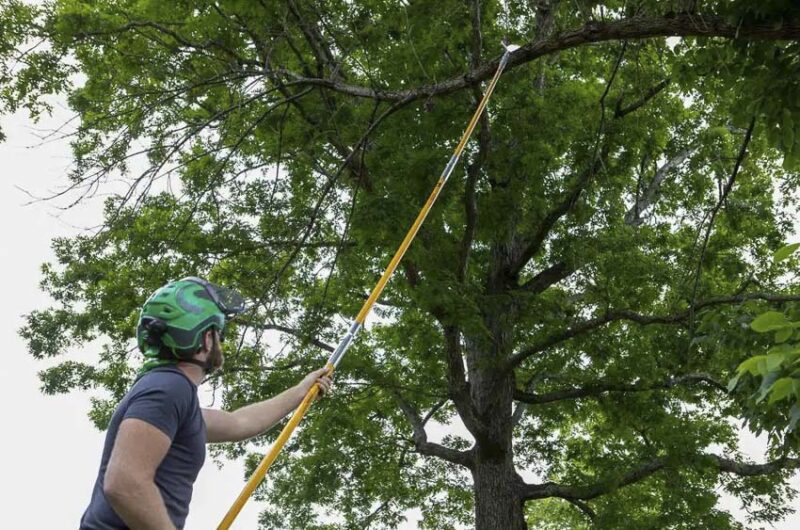 Notch manual Pole Saw Set