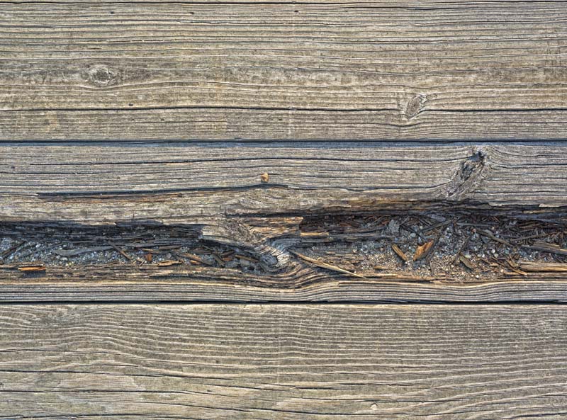 rotten deck board